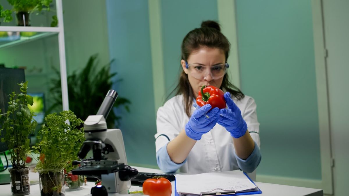 food safety compliance services